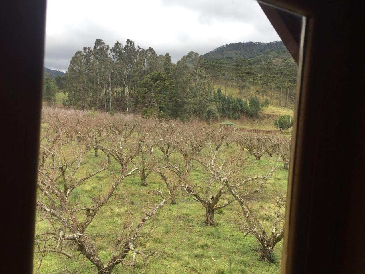 Pousada Sabor Da Roca Urubici Buitenkant foto